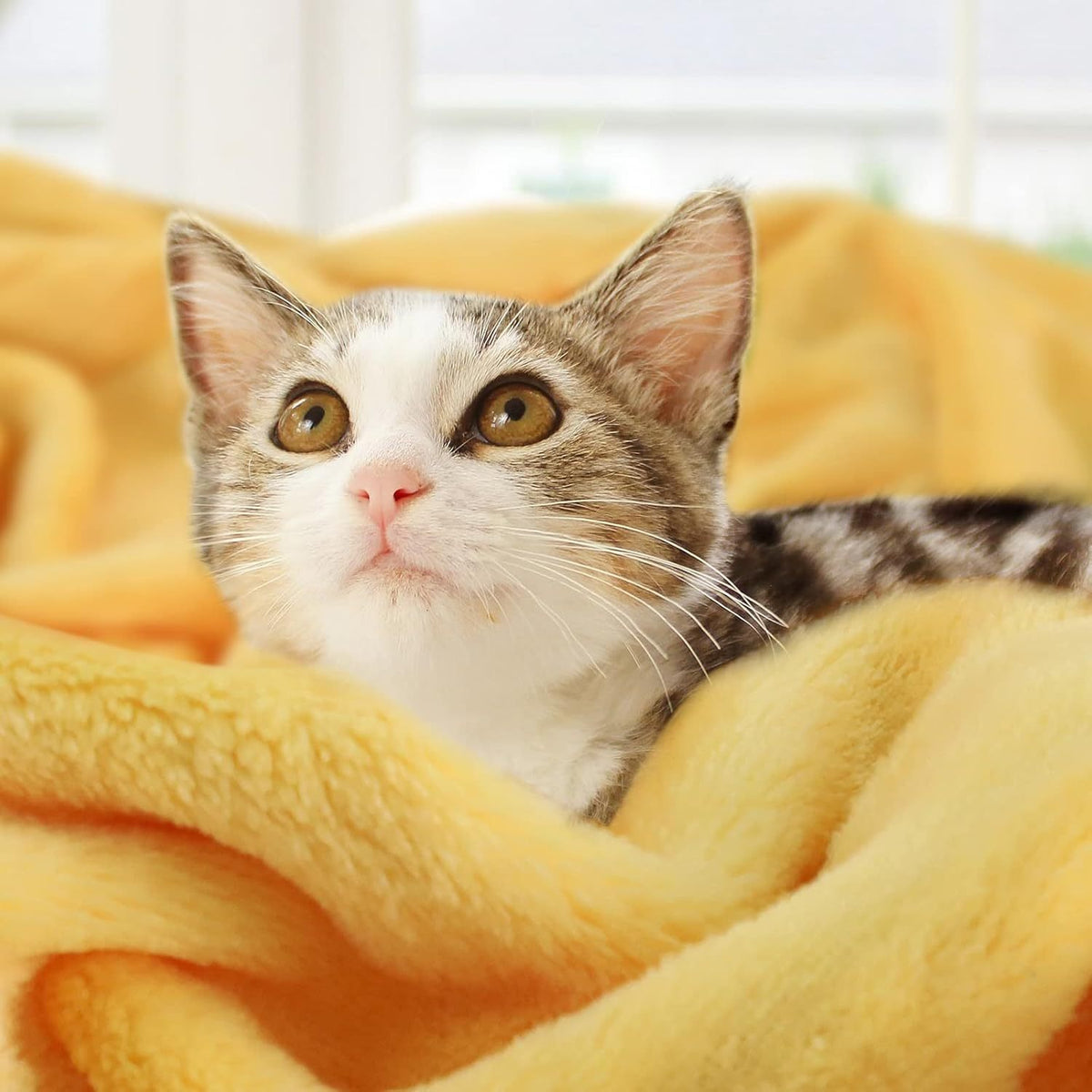 330 GSM Luxury Throw Blanket 33x43 Inch - Ultra Soft Lightweight All-Season Cozy Warmth, Contemporary Style, Machine Washable, Perfect for Sofa, Couch, Bed, and Home Decor, Cozy Home Accessory | Contemporary Style Blanket | Soft Texture Blanket, Blanket f